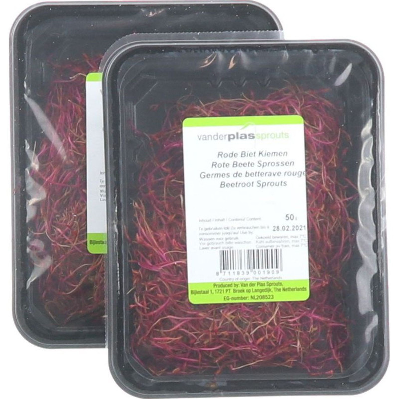 GERME DE RADIS 100G